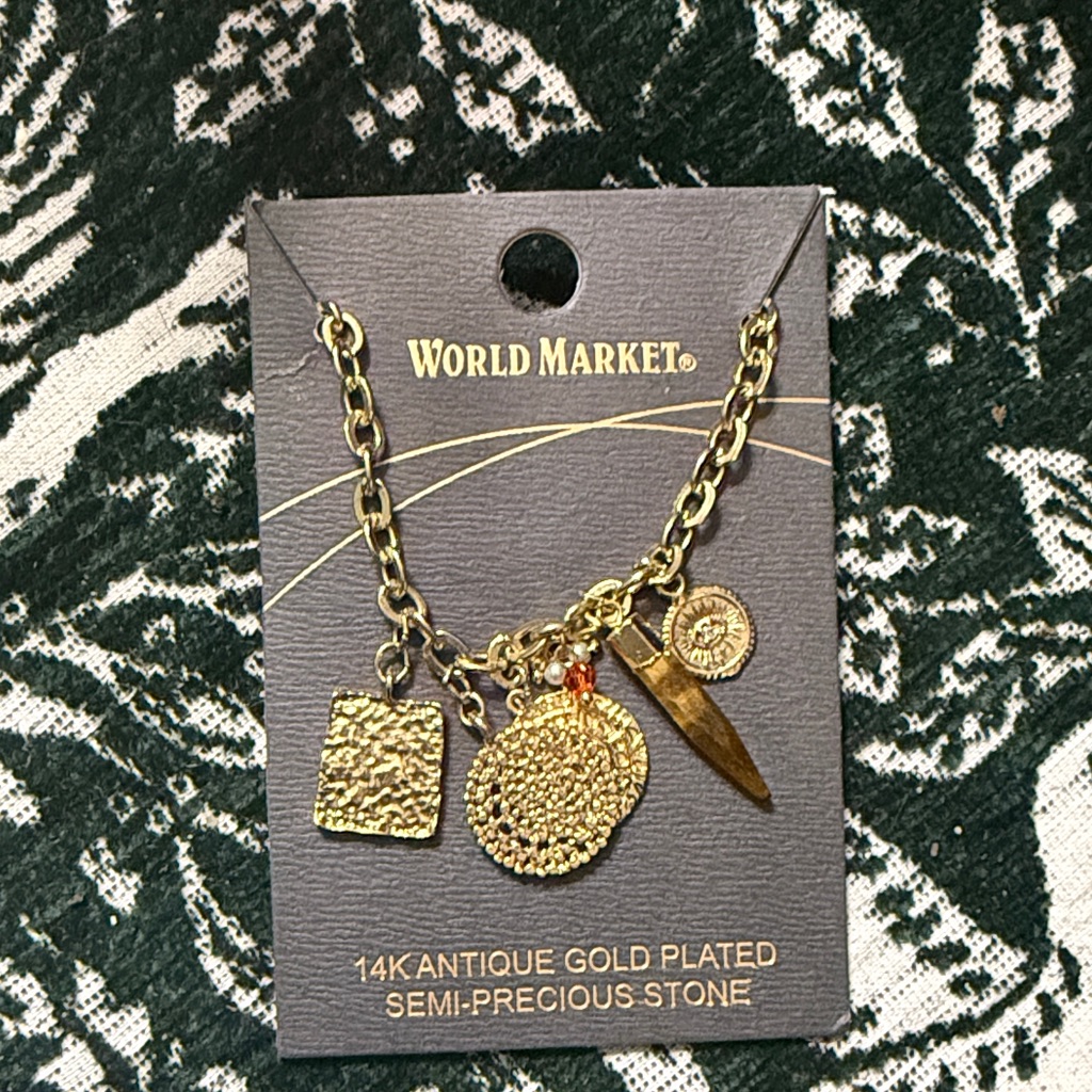 Cost Plus World Market Gold Plated Charm Necklace